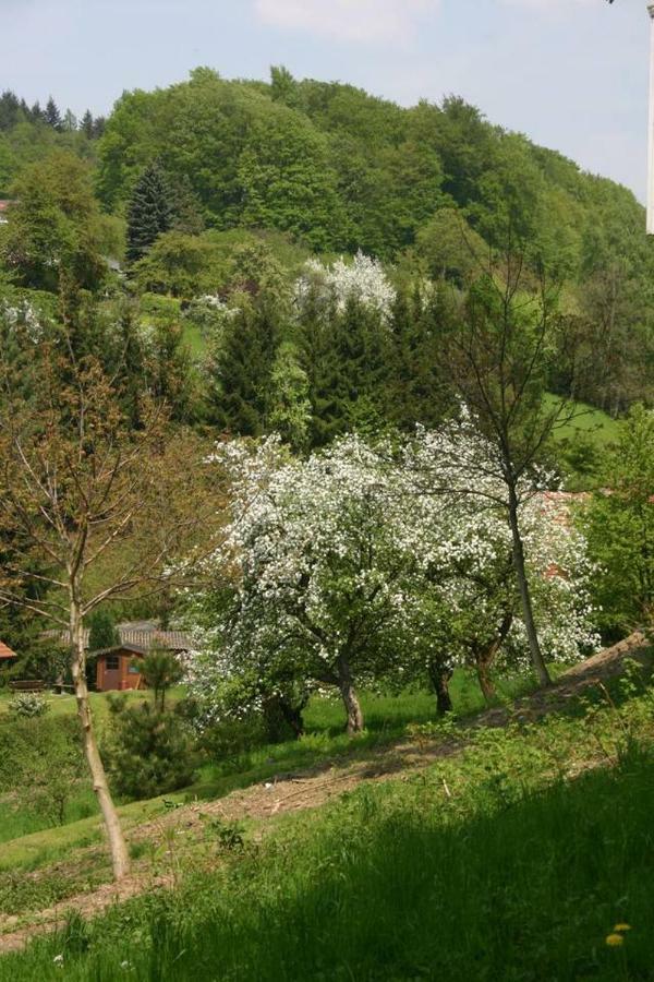 Talblick Appartement In Traumhafter Lage! Ober-Hambach Екстер'єр фото